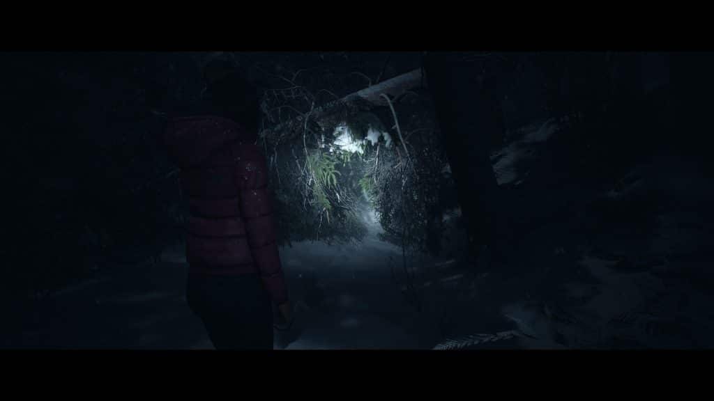 test until dawn ps5 remake