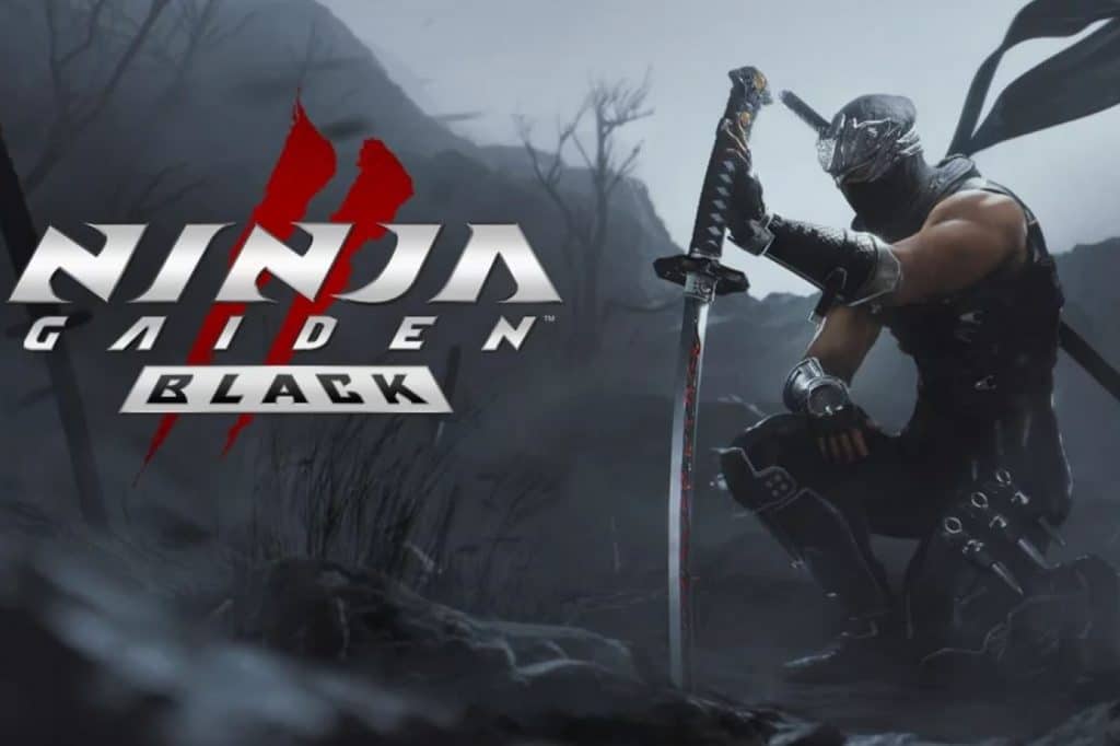 test ninja gaiden 2 black