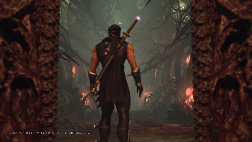 test ninja gaiden 2 black